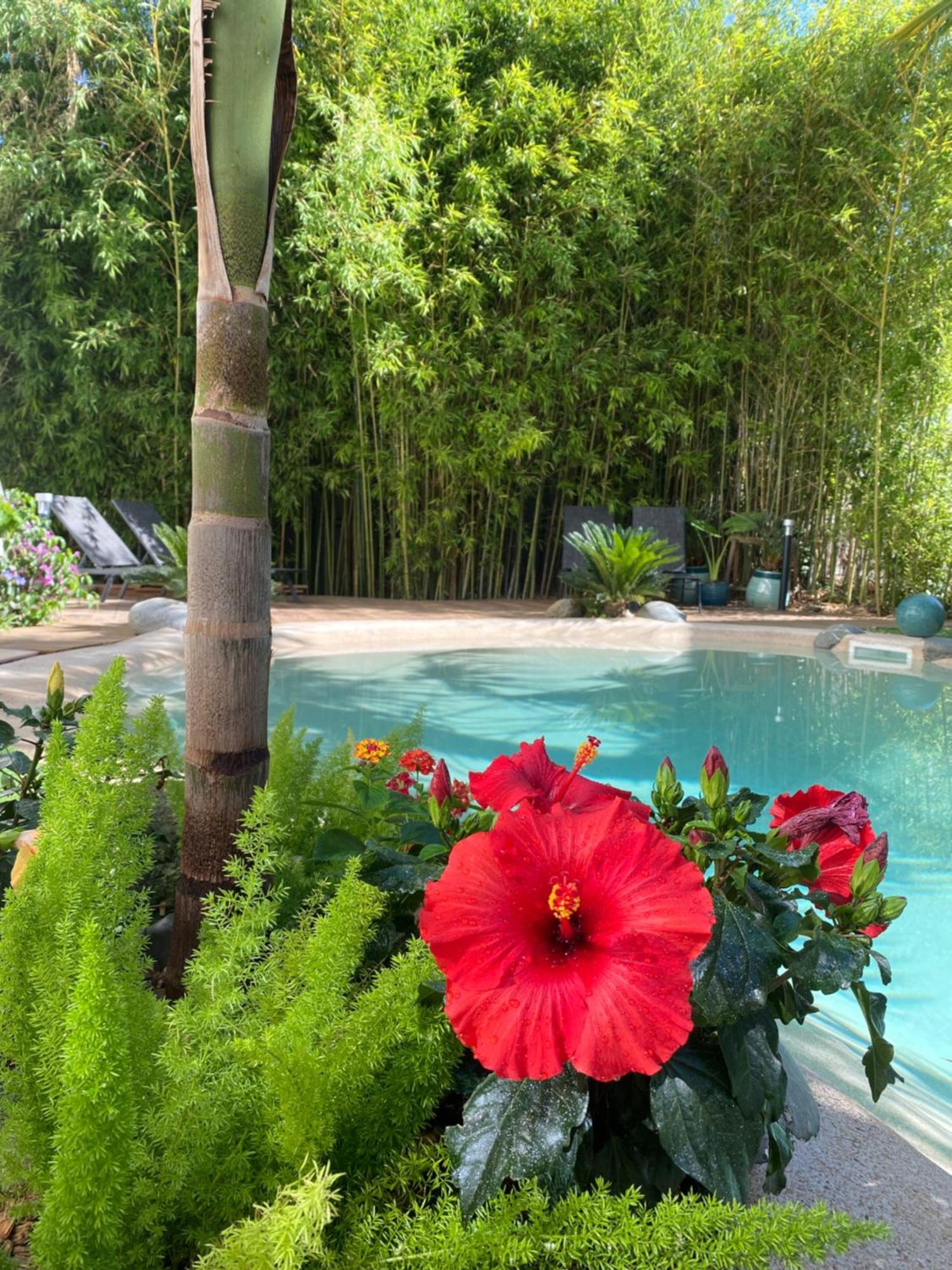 Appt Ambiance Boheme 2 Ch Piscine Lagon Appartement Tarbes Buitenkant foto